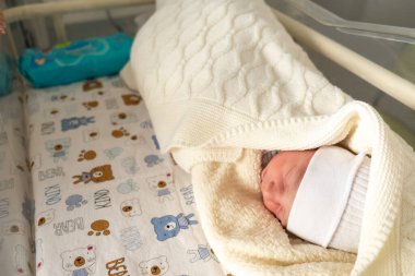 Yenidoğan Bebek Beşikte Dinleniyor Oyuncak Ayı Çarşafı Kopyalama Alanı