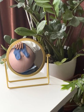 Ev bitkileri arasında Hamile Göbeği Yansıması kopyalama alanı