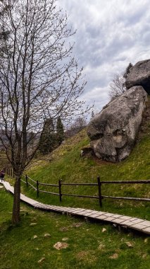 Ukrayna Karpat Dağları Tystan İlkbahar Zamanı