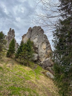 Ukrayna Karpat Dağları Tystan İlkbahar Zamanı
