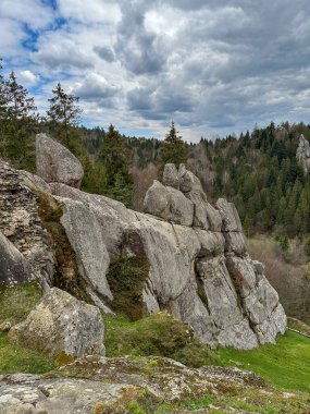 Ukrayna Karpat Dağları Tystan İlkbahar Zamanı