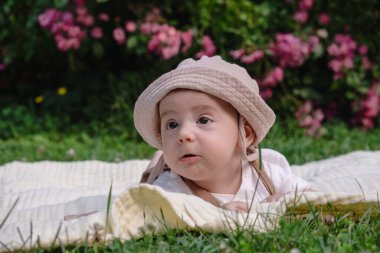 Pembe Çiçekler Yaz Parkı ile çevrili Çocuk Battaniyenin Üzerinde Uzanıyor