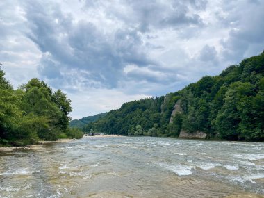 Bereketli Ormanda akan Serene Nehri Kopyalama Boşluğu