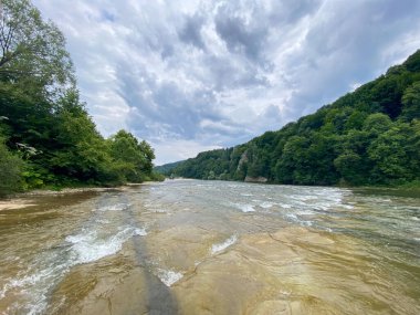 Bereketli Ormanda akan Serene Nehri Kopyalama Boşluğu