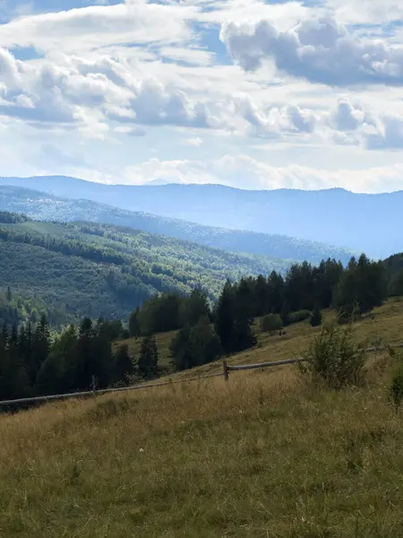 Yuvarlanan Tepeler ve Bulutlu Gökyüzü Altındaki Orman Kopyalama Alanı