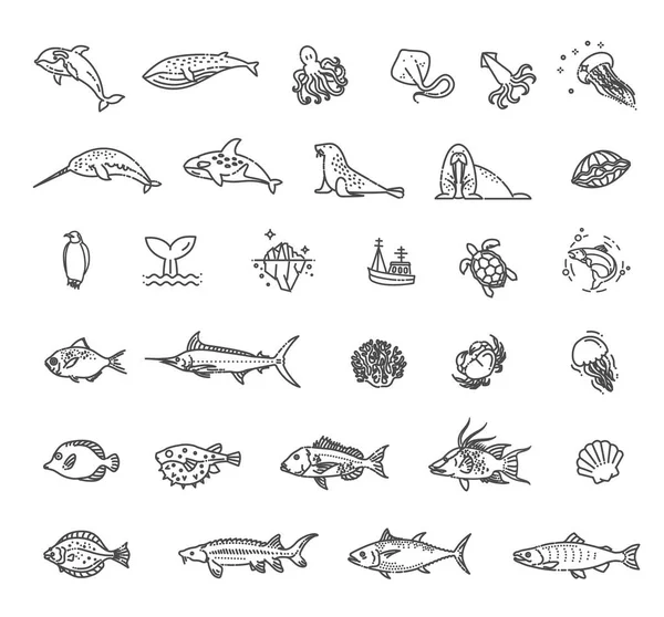 Underwater Fauna Outline Collection Vector Set — Vetor de Stock