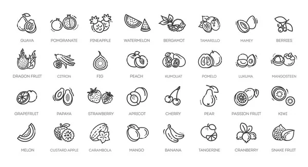 Collection Lignes Vectorielles Grandes Lignes Des Fruits — Image vectorielle
