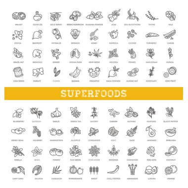 Antioksidan yiyecekler, bitkiler ve baharatlar. sağlıklı yaşam tarzı