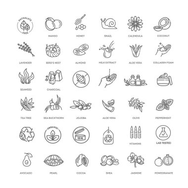 Doğal besin düz çizgi ikonları. Paketleme için ince işaretler