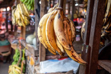 Darajani Pazarı 'nda sallanan taze sarı muzlar Taş Şehir' de Çarşı, Zanzibar, Tanzanya.