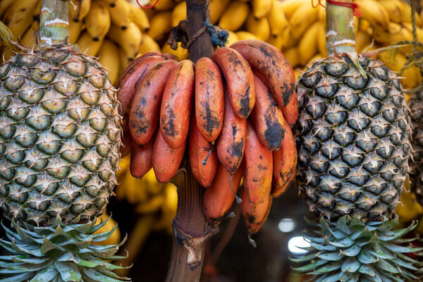 Свежие красные бананы и ананасы, свисающие на рынке Дараджани, базар в Стоун Таун, Занзибар, Танзания.