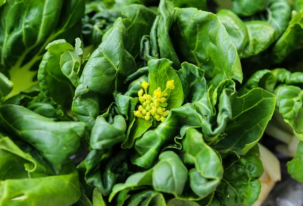 stock image A fresh green vegetables, healthy food or vegetarian food