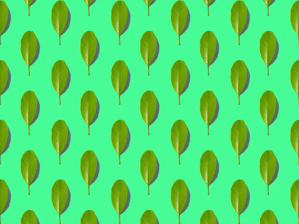 Leaf Seamless Pattern Endless Background — Stock Photo, Image