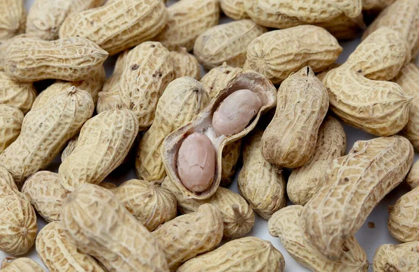 Beyaz arka planda bir sürü fıstık. Fıstıkların makro fotoğrafçılığı.
