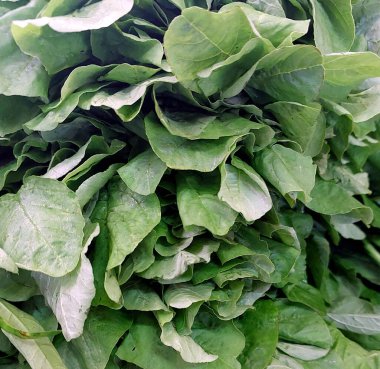 Markette taze yeşil ıspanak yapraklarının yakın çekimi.