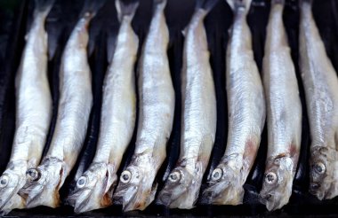 Siyah arka planda taze çiğ capelin balığı.