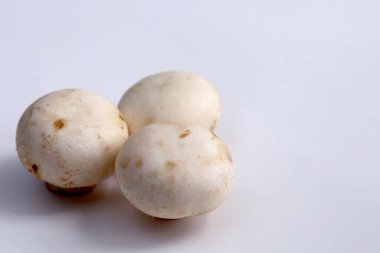 champignon grup izole üzerinde beyaz arka plan mantar