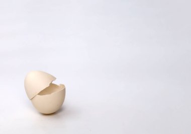 Kırılmış ya da kırılmış yumurta kabuğu beyaz arka planda izole edilmiş..