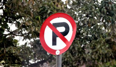 Ağaçların arka planında park işareti yok