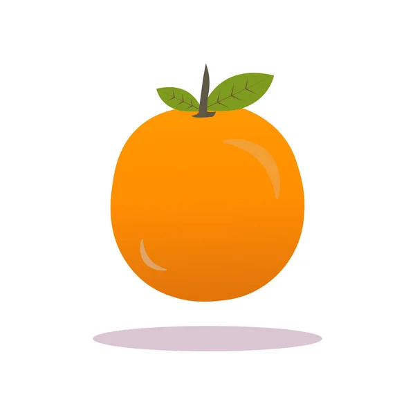 오렌지 일러스트 디자인 — 스톡 벡터
