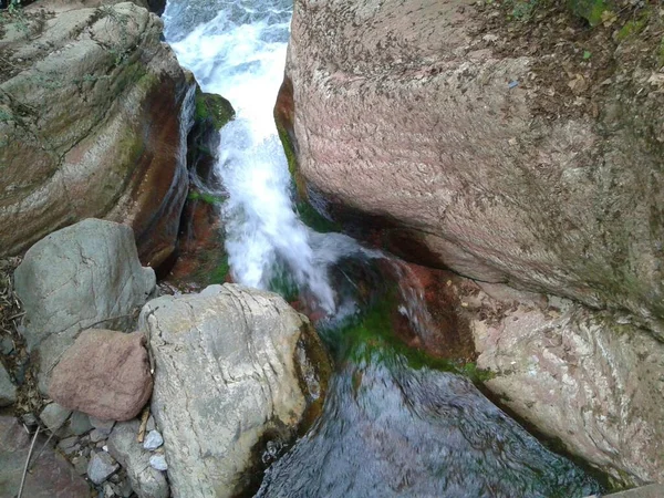 Piedras Rocas Agua Musgo Verde — Stock Photo, Image