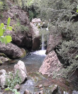 cascada piedra agua hierba