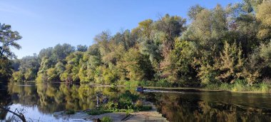  Nehir ormanında ayna yansıması olan yaprak döken bir orman.