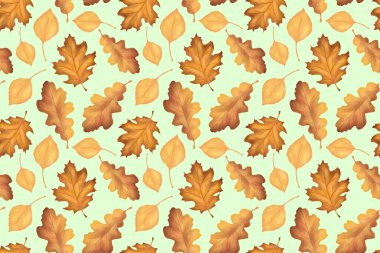 Akçaağaç yaprakları, meşe. Tasarım, tekstil ve ambalaj için açık arkaplan üzerinde sarı yapraklardan yinelenen sınırları olmayan desen.