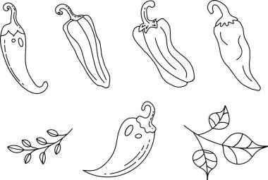 El yapımı acı biber koleksiyonu ve eşlik eden yapraklar yemek illüstrasyonuna oyuncu ve sanatsal bir yaklaşım sergiliyor. Baharat meraklıları ve sanat severler için mükemmel..