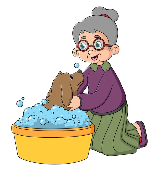 快乐的奶奶正在给狗洗澡 — 图库矢量图片