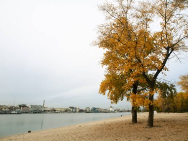 Sonbaharda Ukrayna 'nın başkenti Kyiv' de. Tarihi mimari ve manzara manzaraları, Kyiv 'in doğası. Şehir merkezinde Dnipro nehri ve sarı ağaçlar.