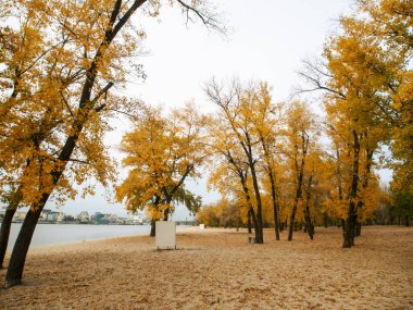 Sonbaharda Ukrayna 'nın başkenti Kyiv' de. Tarihi mimari ve manzara manzaraları, Kyiv 'in doğası. Şehir merkezinde Dnipro nehri ve sarı ağaçlar.