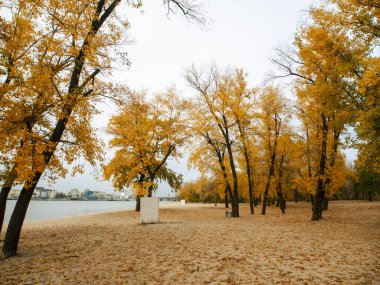 Sonbaharda Ukrayna 'nın başkenti Kyiv' de. Tarihi mimari ve manzara manzaraları, Kyiv 'in doğası. Şehir merkezinde Dnipro nehri ve sarı ağaçlar.