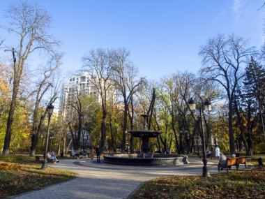 Park, meydan, dinlenme, güneşli bir günde şehir merkezinde manzara. Ukrayna 'nın Kyiv şehrinde.