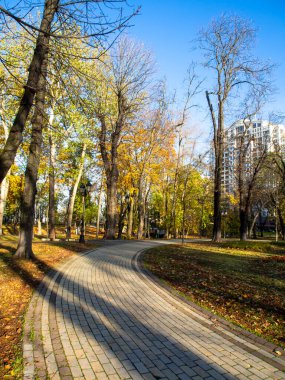 Park, meydan, dinlenme, güneşli bir günde şehir merkezinde manzara. Ukrayna 'nın Kyiv şehrinde.