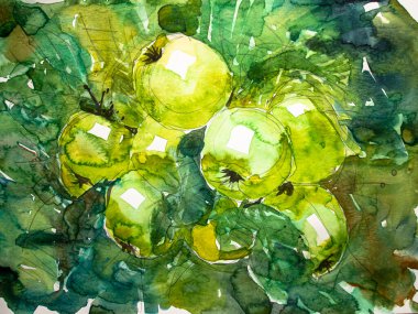 Elma çizimi. Masada yeşil elmalar, suluboya resimler. Kağıt dokusunda suluboya. Suluboya resmin dokusu.