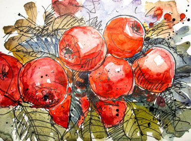 Elma çizimi sanatı. Yapraklı kırmızı elmalar, suluboya resimler. Kağıt dokusunda suluboya. Suluboya resmin dokusu.