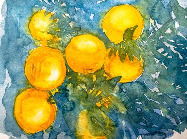 Yeşil yapraklı portakallar, kağıt üzerinde suluboya. Suluboya resim dokusu, portakal meyvesi çizimleri..