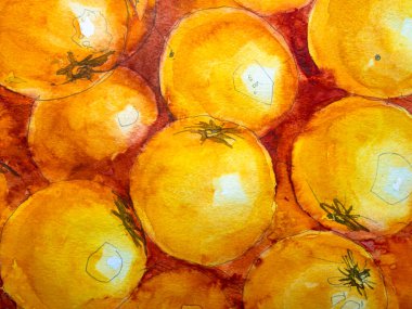  Bir grup portakal, kağıt üzerinde suluboya. Suluboya resim dokusu, portakal meyvesi çizimleri..