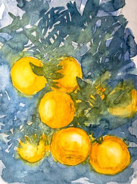 Yeşil yapraklı portakallar, kağıt üzerinde suluboya. Suluboya resim dokusu, portakal meyvesi çizimleri..