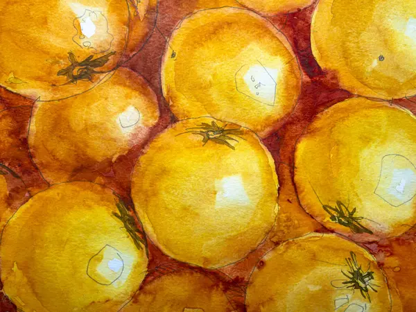  Bir grup portakal, kağıt üzerinde suluboya. Suluboya resim dokusu, portakal meyvesi çizimleri..