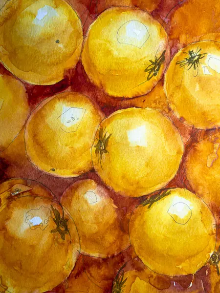  Bir grup portakal, kağıt üzerinde suluboya. Suluboya resim dokusu, portakal meyvesi çizimleri..