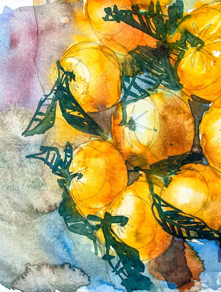 Yeşil yapraklı portakallar, kağıt üzerinde suluboya. Suluboya resim dokusu, portakal meyvesi çizimleri..