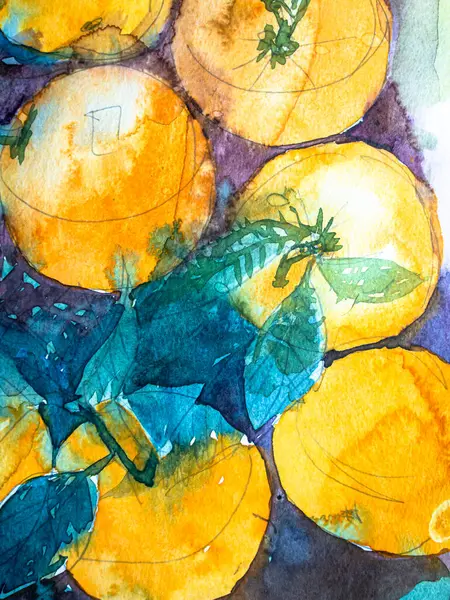 Yeşil yapraklı portakallar, kağıt üzerinde suluboya. Suluboya resim dokusu, portakal meyvesi çizimleri..