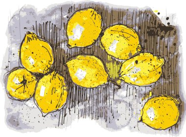 Vektör grafik, limonlar masada, suluboya kağıt üzerinde. Suluboya resim dokusu, limon çizimleri..