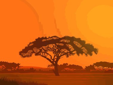 Afrika 'da günbatımı. Akşamları ağaçla Afrika 'da manzara.