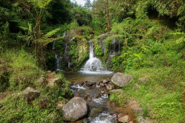 Permadi şelalesi ya da Permadi guci üzerinden Slamet Dağı 'nın yürüyüş parkurunda Curug permadi..