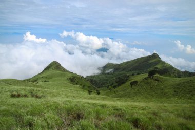 Merbabu dağı yeşil savanası. Merbabu Dağı 'nı süvansiyonla