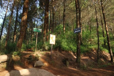 Mount and Long Yolu 'ndaki Barınak 2' nin işareti.