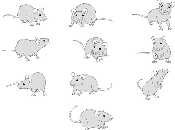Mouse Different Grayscale Poses — Stock Vector